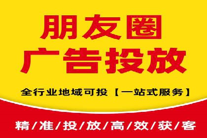 SEM代运营案例分析：精准投放策略解析